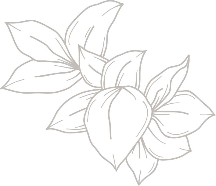 illustration-grouped-leaves